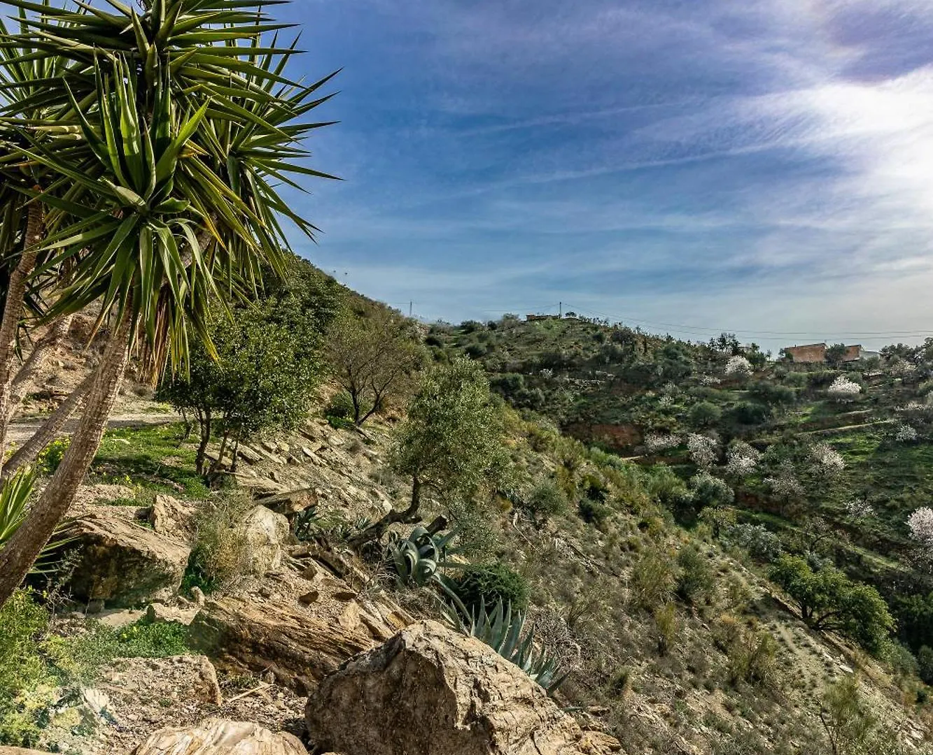 Vila El Sueno, Cortijo Andalusi Del Siglo XIX Almogía Horská chata