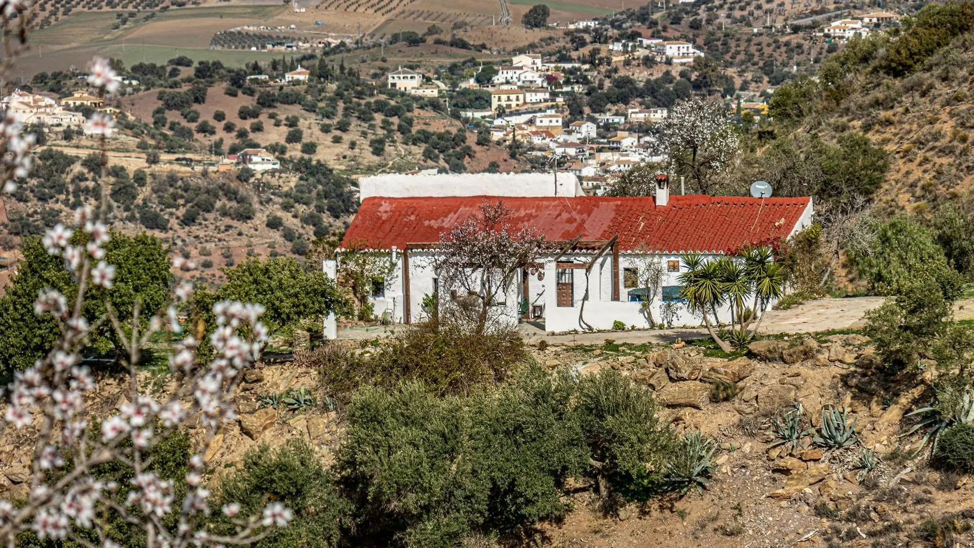 Vila El Sueno, Cortijo Andalusi Del Siglo XIX Almogía